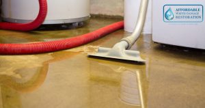 affordable water cleanup services